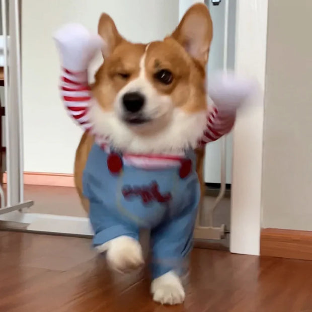 Dog wearing a blue Killer Doll Pet Costume with red accents indoors