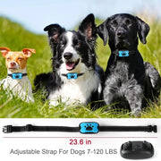 Three dogs wearing blue Anti-Barking Dog Collar with an adjustable strap for dogs displayed below.