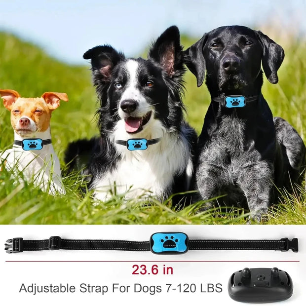 Three dogs wearing blue Anti-Barking Dog Collar with an adjustable strap for dogs displayed below.