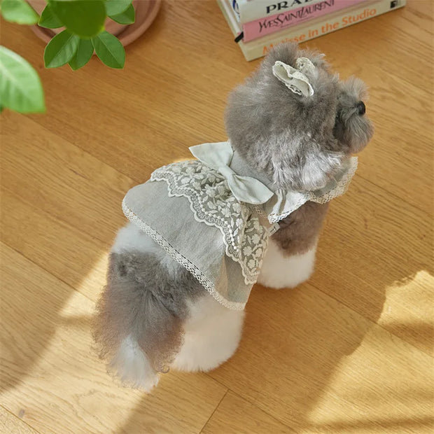 Small dog wearing a Elegant Lace Pet Dress with Bow on a wooden floor