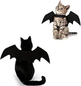 Two cats wearing black Halloween Costume Set on a white background