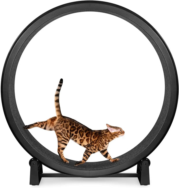 Cat running on a black Cat Exercise Wheel against a white background