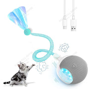 Electric Rolling Cat Toy Ball with LED light and USB cable on a white background