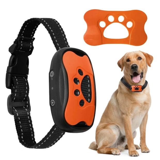 Anti-Barking Dog Collar with remote control, orange tag, and a dog sitting next to them on a white background