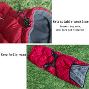 Red and gray dog Windproof and Waterproof Dog Jacket with retractable neckline on grass