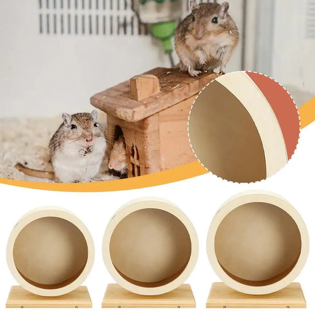 Wooden Exercise Wheel ball with hamsters on a white background