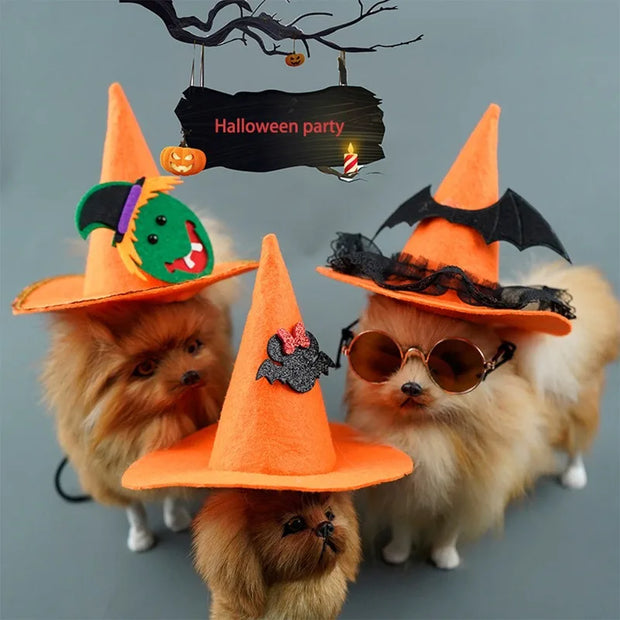 Three dogs wearing Halloween Witch Hat Collection with a 'Halloween party' sign in the background.
