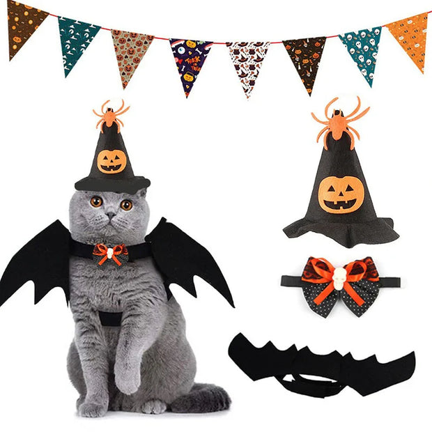 Cat wearing Halloween Costume Set with hat, wings, and bow tie in front of a Halloween banner.
