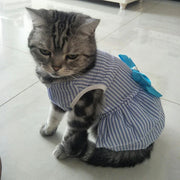 Cat wearing a blue and white Summer Princess Dress with a bow on a tiled floor.