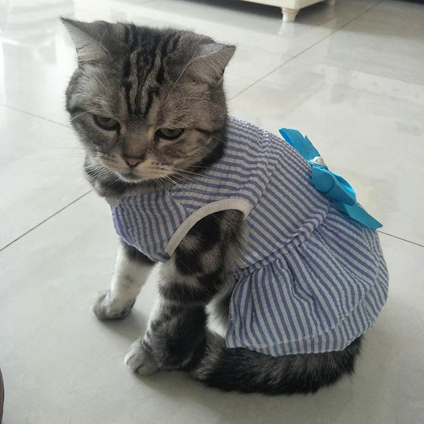 Cat wearing a blue and white Summer Princess Dress with a bow on a tiled floor.