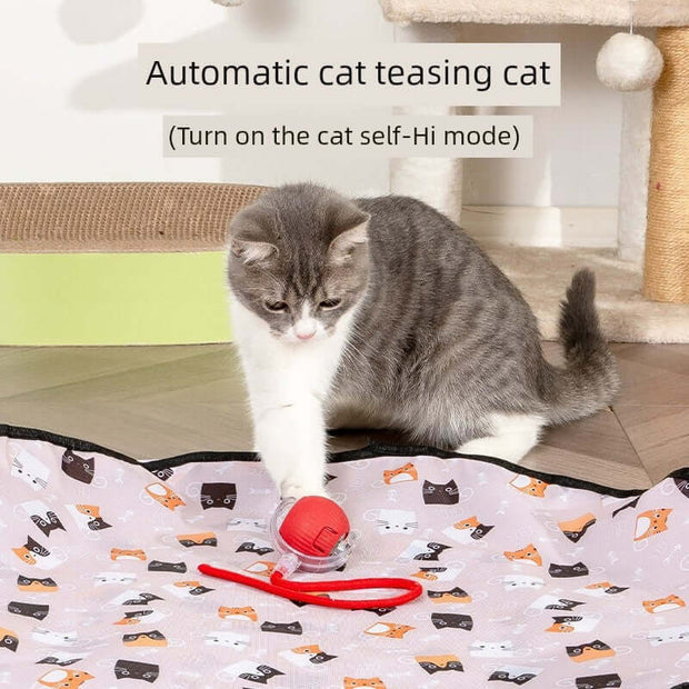 Cat playing with an automatic Interactive Cat Toy with Smart Obstacle Avoidance teaser device on a mat with cat patterns.