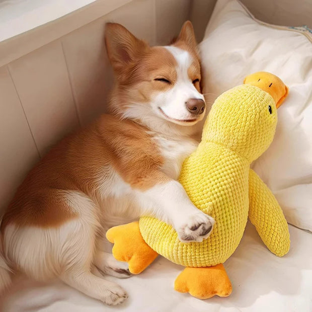 Dog hug a Dog Calming Duck Plush Toy on a soft surface