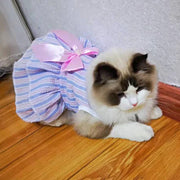 Cat wearing a Summer Princess Dress with a pink bow on a wooden floor.