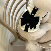 White fluffy dog wear Elegant Black Bow Dress and decorative elements on a chair.