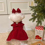 White teddy bear in a red Puppy Bow Dress Set, standing next to a Christmas tree and a box of Tartelettes.