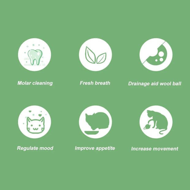 Set of icons and text on a green background describing various Catnip Ball Toy care benefits.