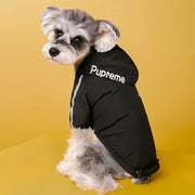 Dog wearing a black 'Pupreme' Dog Winter Jacket with Hood on a yellow background