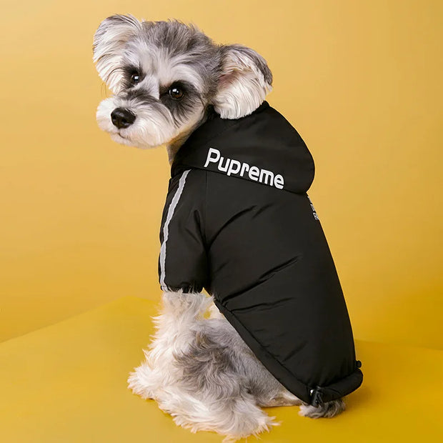 Dog wearing a black 'Pupreme' Dog Winter Jacket with Hood on a yellow background
