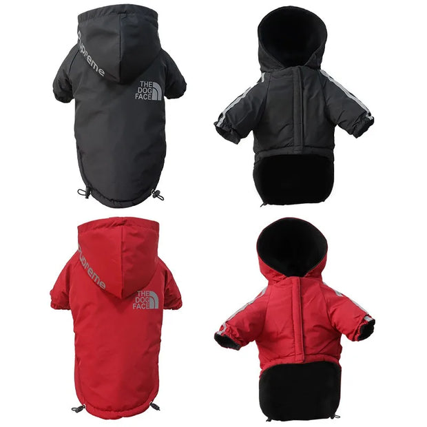 Black and red Dog Winter Jacket with Hood with visible branding on a white background