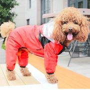 Poodle wearing a red and black Dog Raincoat with Clear Hood outdoors