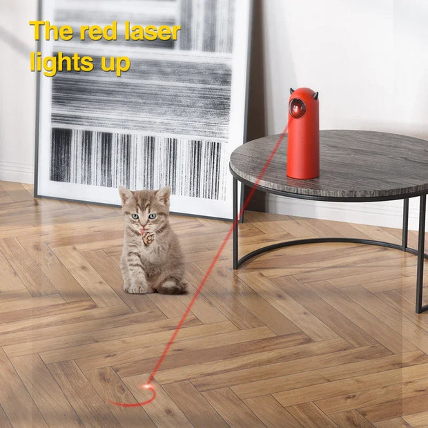Cat playing with a red Little Devil Automatic Infrared LED Laser Cat Toy laser pointer on a wooden floor.