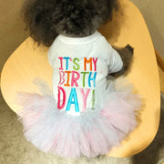 Small dog wearing a colorful 'It's My Birthday Day!' Birthday Tutu Dress on a yellow chair.