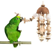 Green parrot playing with a wooden and coconut shell Natural Bird Cage Toy on a white background