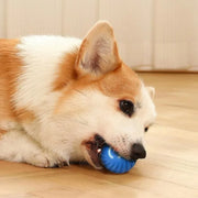 Dog playing with a blue Smart Interactive Dog Ball on a wooden floor