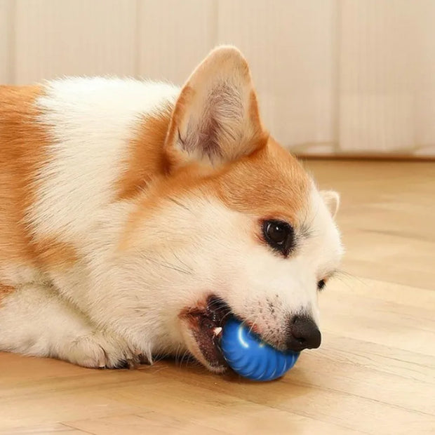 Dog playing with a blue Smart Interactive Dog Ball on a wooden floor