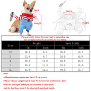 Dog in a Cute Halloween Costume with size chart and measurements on a white background
