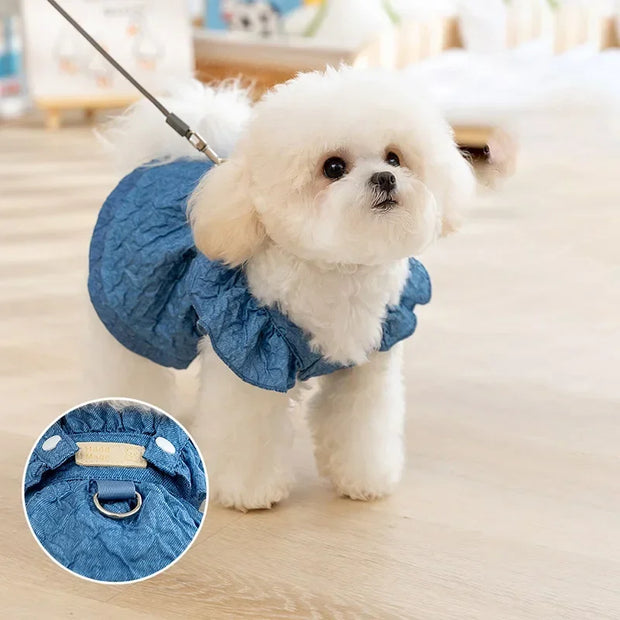 Small white dog wearing a blue Denim Dog Dress with a close-up of the Denim Dog Dress's interior on a light wooden floor.