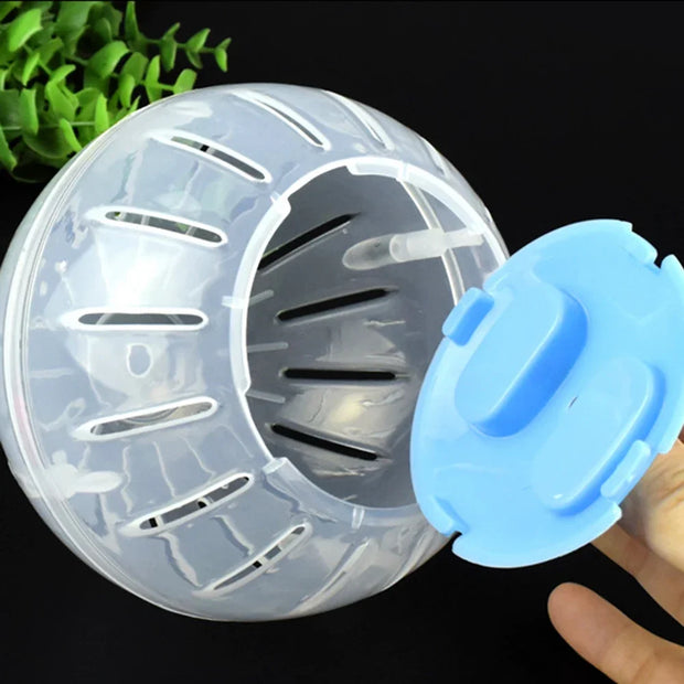 Clear plastic Hamster Gerbil Rat Exercise Toy with blue lid held by a hand against a dark background
