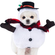 Dog wearing a Halloween Bat Skeleton Costume with a black top hat, red scarf, and black gloves on a white background.