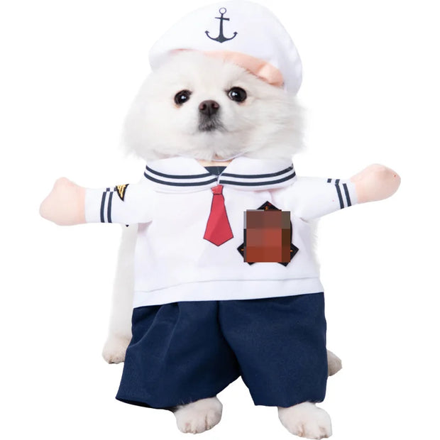 Small dog wearing a Halloween Bat Skeleton Costume with a white hat, red tie, and navy shorts on a white background.
