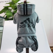 Gray dog Adidog Hoodie and shorts set with 'adidog' logo on a white surface.