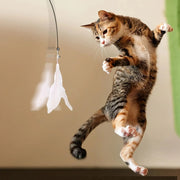 Cat playing with a hanging Interactive Cat Toy Wand with Feather against a neutral background
