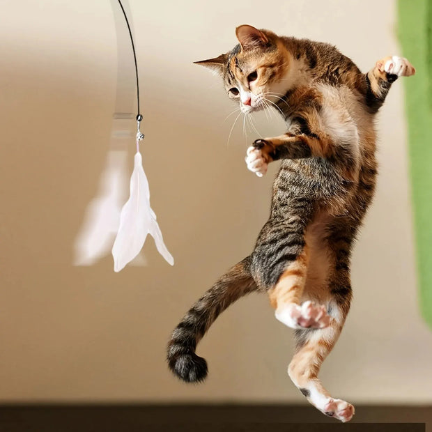 Cat playing with a hanging Interactive Cat Toy Wand with Feather against a neutral background