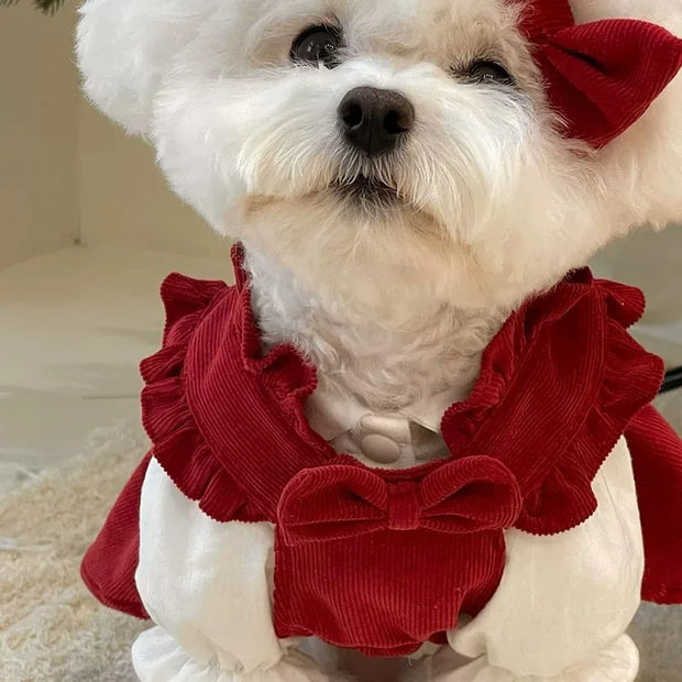 Small white dog wearing a red Puppy Bow Dress Set with ruffles.