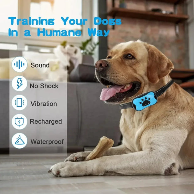Dog wearing a blue electronic Anti-Barking Dog Collar with features listed on a blurred indoor background