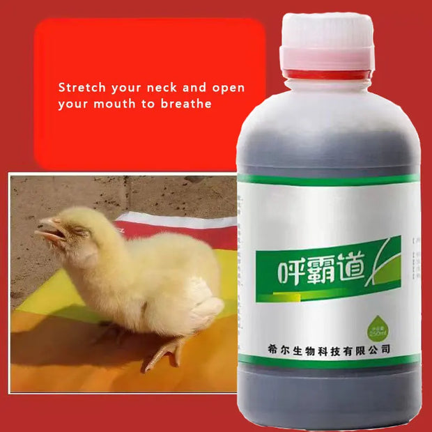 Huspeedba Poultry Respiratory Health Solution 250ml next to a chick on a colorful surface, promoting respiratory support for poultry.