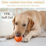 Dog playing with an orange Automatic Obstacle Avoidance Pet Toy Ball on a light surface.