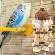Birds perched on a perch with a coconut shell and wooden bead Natural Bird Cage Toy hanging below.