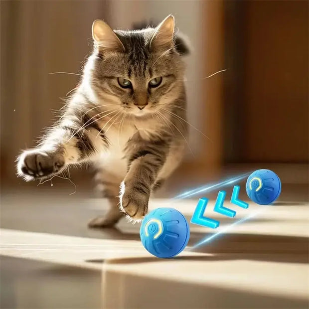 Cat playing with a blue Automatic Obstacle Avoidance Pet Toy Ball of light on a wooden floor.