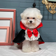 White dog wearing a Vampire Pet Costume with a red bow and black cape on a light blue background.