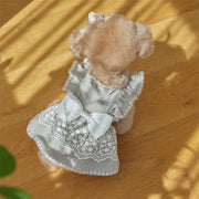 Teddy bear wearing a gray Elegant Lace Pet Dress with Bow a white bows on a wooden floor