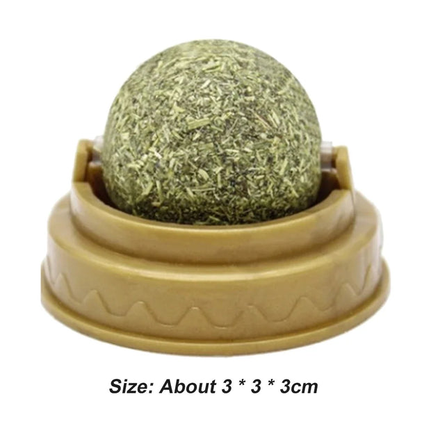 Green Catnip Ball Toy of catnip in a beige container on a white background