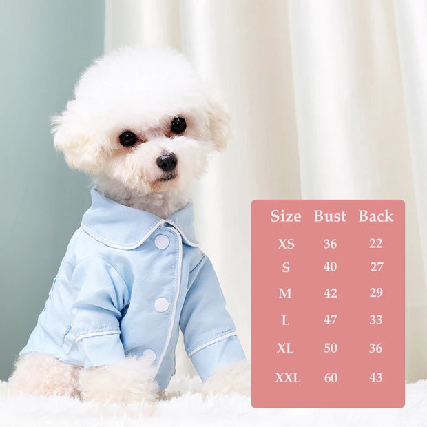 Small white dog wearing a light blue Elegant Pet Shirt with a size chart on a white background