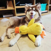 Dog lying on the floor with playing with a Dog Calming Duck Plush Toy resembling a dinosaur