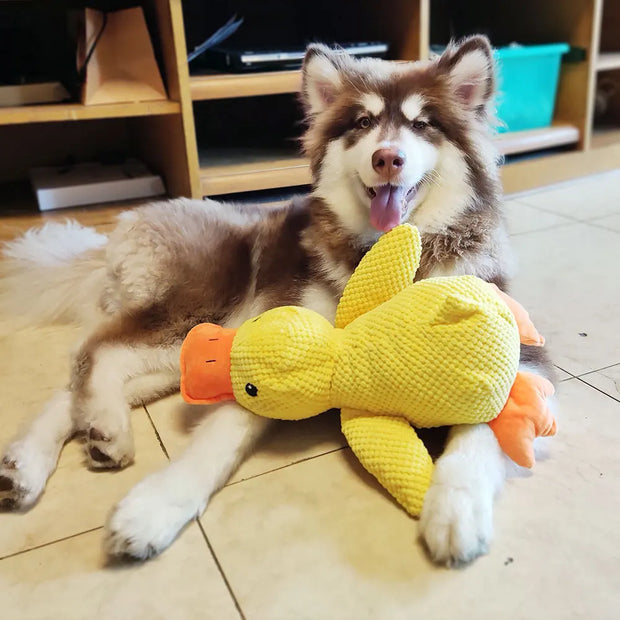 Dog lying on the floor with playing with a Dog Calming Duck Plush Toy resembling a dinosaur