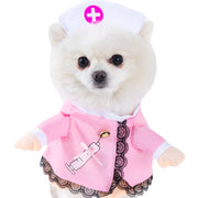 Small dog wearing a pink Halloween Bat Skeleton Costume with a white hat on a white background